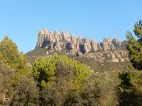 Silvester Barcelona - Jahreswechsel in Spanien (352)