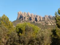 Silvester Barcelona - Jahreswechsel in Spanien (353)