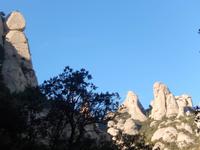 Silvester Barcelona - Jahreswechsel in Spanien (363)