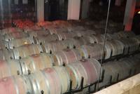 Silvester Barcelona - Jahreswechsel in Spanien (50)