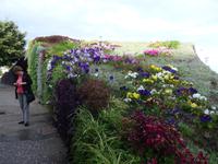 Kanaren, Teneriffa, Santa Cruz, Placa de Espana