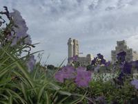 Kanaren, Teneriffa, Santa Cruz, Placa de Espana