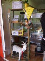 Kanaren, Teneriffa, Santa Cruz, Markthalle