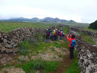 Kanaren, El Hierro, Wandern zwischen Viehweiden