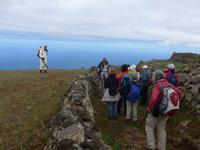 Kanaren, El Hierro, Heuschreckenbekämpfung