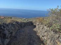 Kanaren, El Hierro,  El Mocanal - Zusatzwanderung