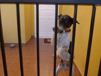 Kanaren, El Hierro,  El Mocanal