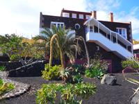 Kanaren, El Hierro, Schwanenhalsagave