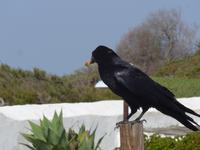 Kanaren, El Hierro, Kapelle Ermita de Los Reyes