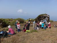 Kanaren, El Hierro, La Dehesa mit Sabina-Bäumen