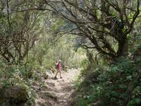 Kanaren, El Hierro, Abstieg von der La Dehesa