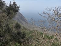 Kanaren, El Hierro, Abstieg ins Golftal