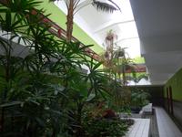 Kanaren, El Hierro, Pozo de la Salud