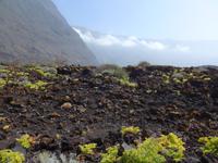 Kanaren, El Hierro, Küstenweg