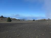Kanaren, El Hierro, Wanderung zum Malpaso