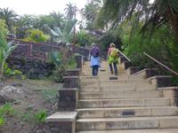 Kanaren, Teneriffa, Puerto de la Cruz, Taoropark