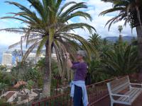 Kanaren, Teneriffa, Puerto de la Cruz