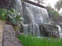 Kanaren, Teneriffa, Puerto de la Cruz, Taoropark