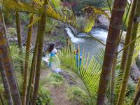 Kanaren, Teneriffa, Puerto de la Cruz, Taoropark