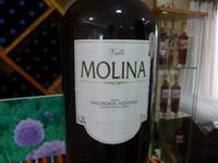 Kanaren, Teneriffa, Weingut Valle Molina