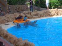 Kanaren, Teneriffa, Puerto de la Cruz, Loro Park