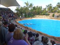 Kanaren, Teneriffa, Puerto de la Cruz, Loro Park