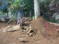 Kanaren, Teneriffa, Puerto de la Cruz, Loro Park