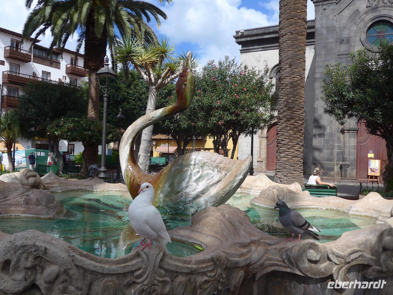 Kanaren, Teneriffa, Puerto de la Cruz