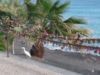 Rundreise Lanzarote, Fuerteventura – Puerto del Carmen