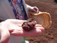 Rundreise Lanzarote, Fuerteventura – Nationalpark Timanfaya