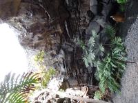 Rundreise Lanzarote, Fuerteventura – Haus von Cesar Manrique