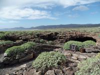 Rundreise Lanzarote, Fuerteventura – Cueva de los Verdes