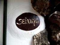 Rundreise Lanzarote, Fuerteventura – Cueva de los Verdes