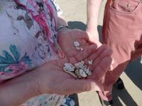 Rundreise Lanzarote, Fuerteventura – Famara-Strand