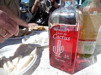 Rundreise Lanzarote, Fuerteventura 