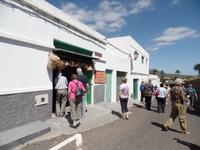Rundreise Lanzarote, Fuerteventura – Im Tal der 1000 Palmen