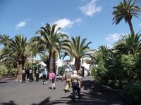 Rundreise Lanzarote, Fuerteventura – Haus von Cesar Manrique
