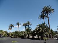 Rundreise Lanzarote, Fuerteventura – Haus von Cesar Manrique