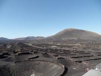 Rundreise Lanzarote, Fuerteventura – Weinanbaugebiet und Bodega La Geria