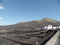 Rundreise Lanzarote, Fuerteventura – Weinanbaugebiet und Bodega La Geria