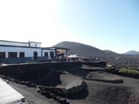 Rundreise Lanzarote, Fuerteventura – Weinanbaugebiet und Bodega La Geria