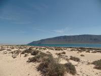 Rundreise Lanzarote, Fuerteventura – Strand auf La Graciosa