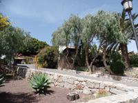 Rundreise Lanzarote, Fuerteventura – Betancuria