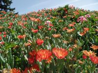 Rundreise Lanzarote, Fuerteventura – Betancuria