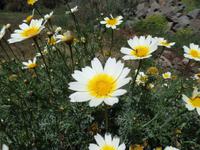 Rundreise Lanzarote, Fuerteventura – Betancuria