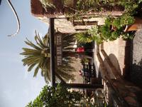 Rundreise Lanzarote, Fuerteventura – Vega del Rio Palmas