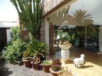 Rundreise Lanzarote, Fuerteventura – Vega del Rio Palmas