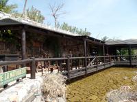 Rundreise Lanzarote, Fuerteventura – Vega del Rio Palmas