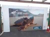 Rundreise Lanzarote, Fuerteventura – Schildkrötenfarm in Morro Jable