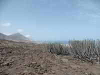 Rundreise Lanzarote, Fuerteventura – Jeepsafari im Nationalpark Jandia